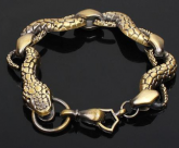 Pulseira de Titanium Serpente Dourada